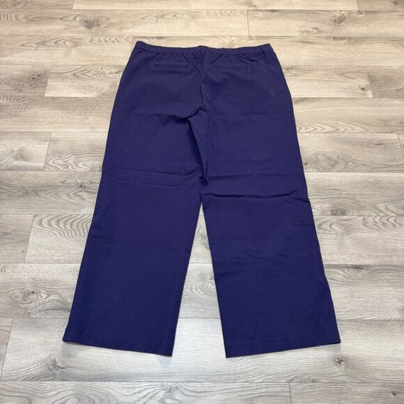 Isaac Mizrahi Wide Leg Pants Plus Size 24 Lilac Purple Stretch 24/7 Pull On - Picture 16 of 16
